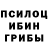 Галлюциногенные грибы Magic Shrooms success Info