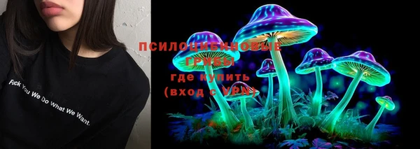 мескалин Гусев