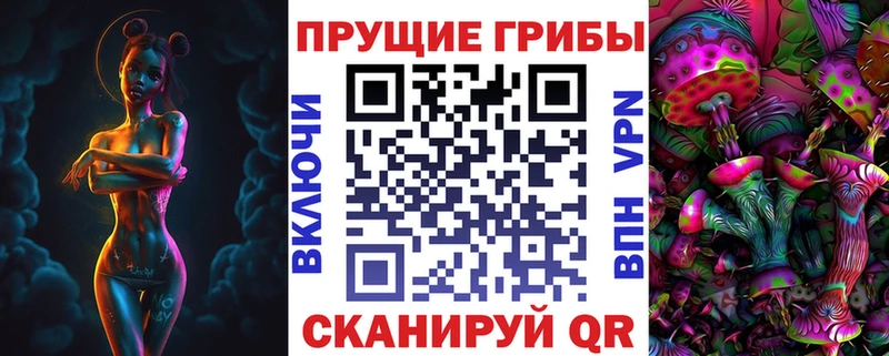 Галлюциногенные грибы Psilocybe Купить Торжок