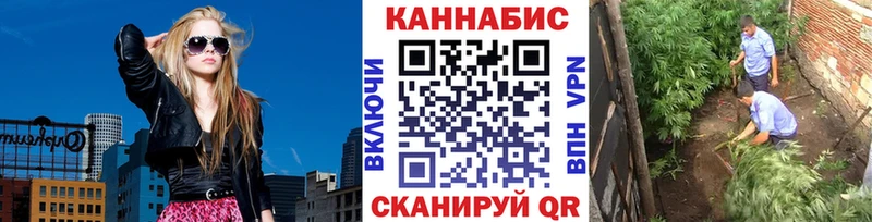 Купить Торжок Бошки марихуана Bruce Banner